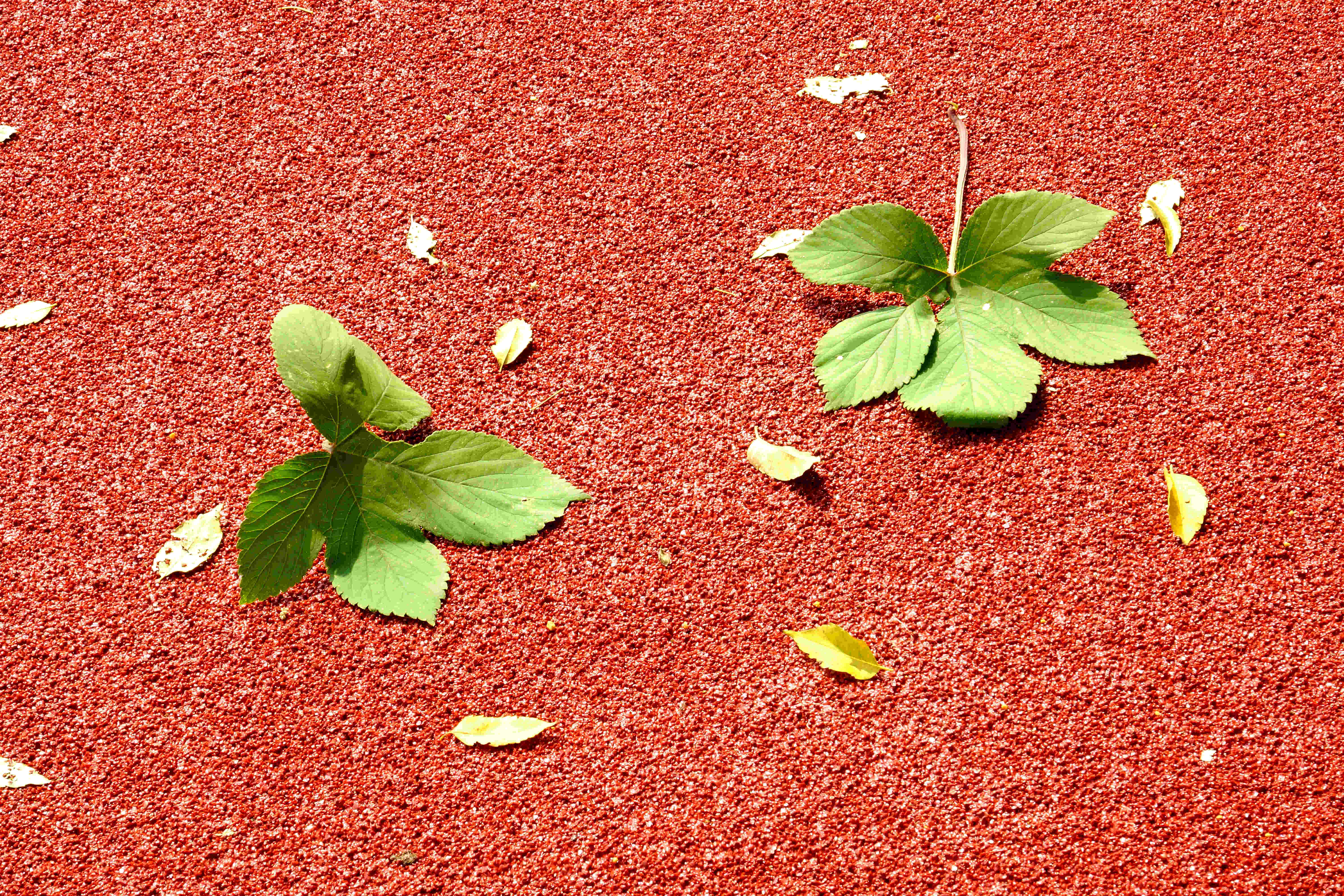 彩色防滑路面粘合劑